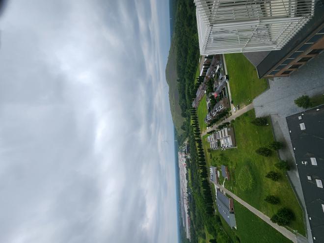 view